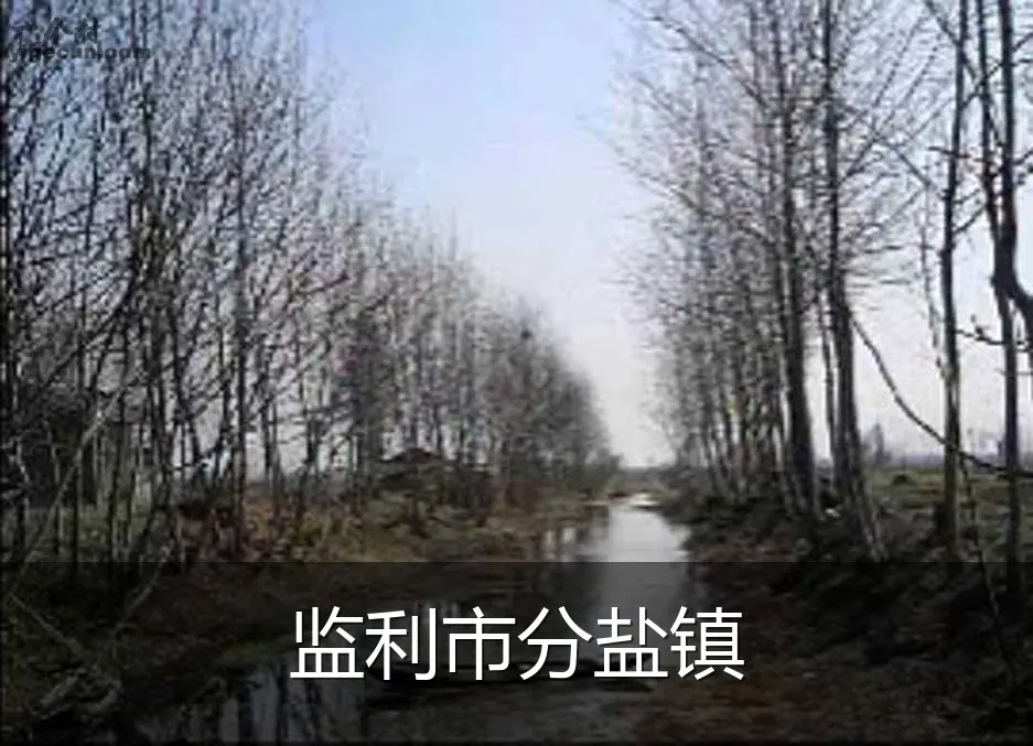监利市分盐镇