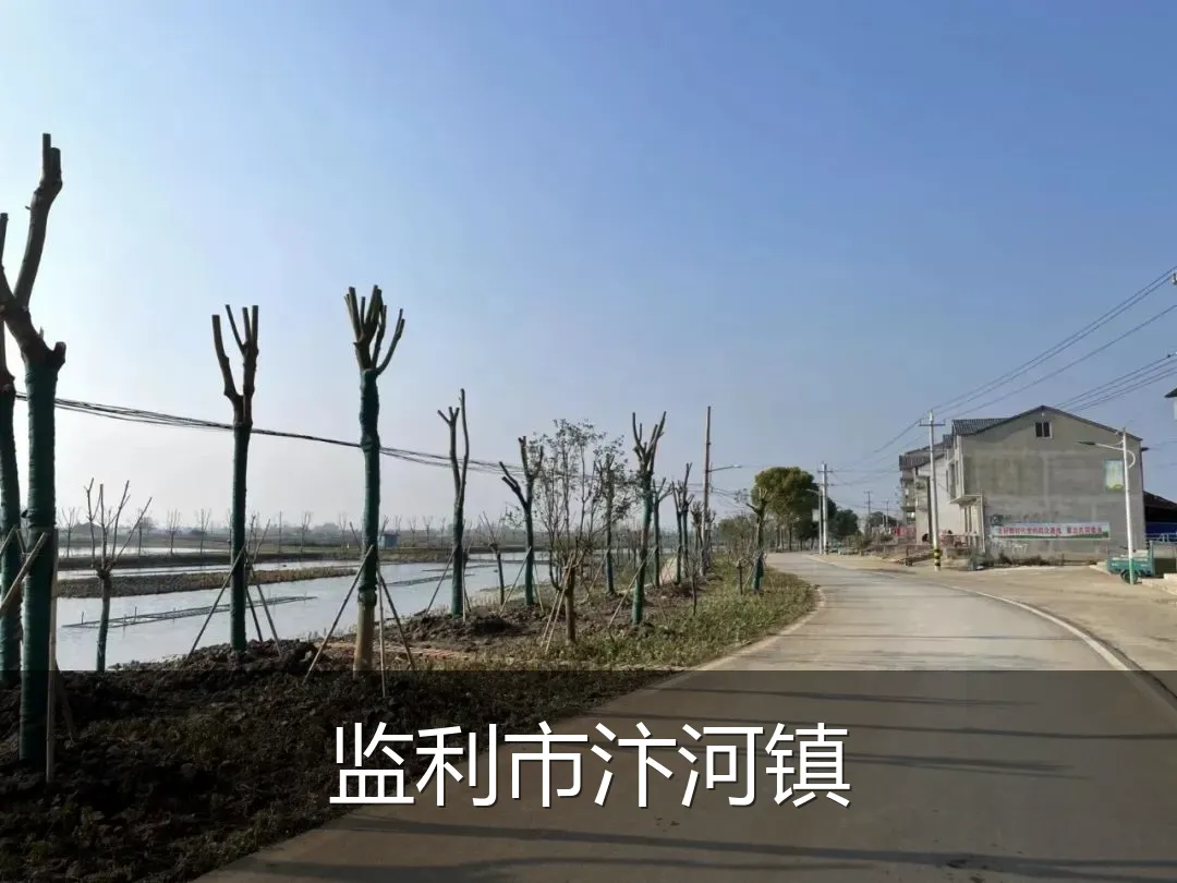 监利市汴河镇